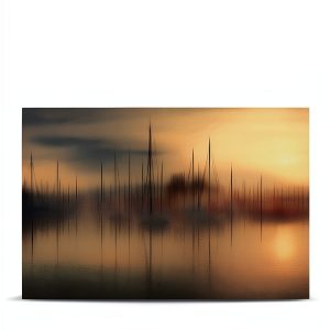Digital Photography Book Kindle Edition English Language-0
